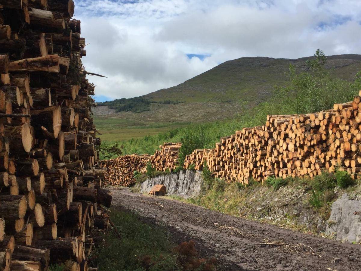 Álaind Lodges, Sneem Esterno foto